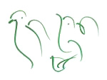 greenbirds.jpeg